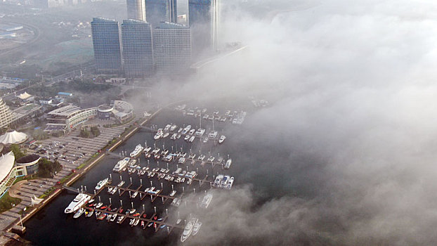 一觉醒来发现城市漂浮在云端,海边平流雾奇观太震撼