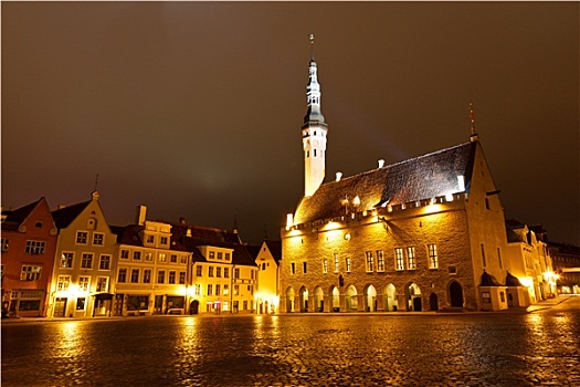 塔林,市政厅,夜晚,广场,爱沙尼亚