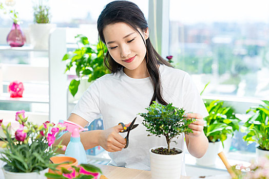 年轻女子在家种植盆栽