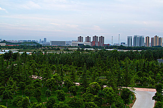 渭河湿地