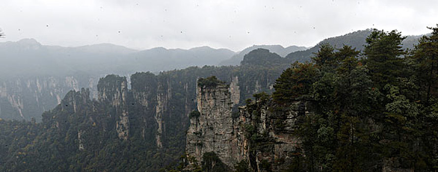 湖南张家界天子山国家森林公园