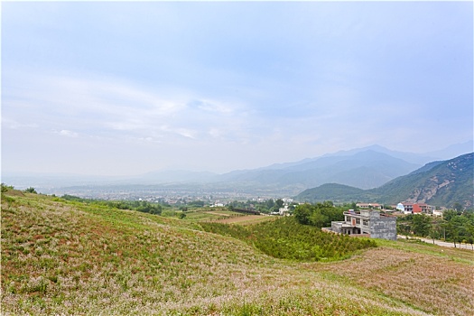 陕西西安蓝田荞麦花观光点