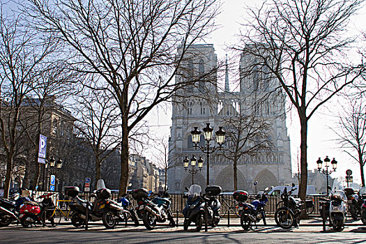 法国,巴黎,独立日,西岱岛,摩托车,停放,正面,大教堂,巴黎圣母院