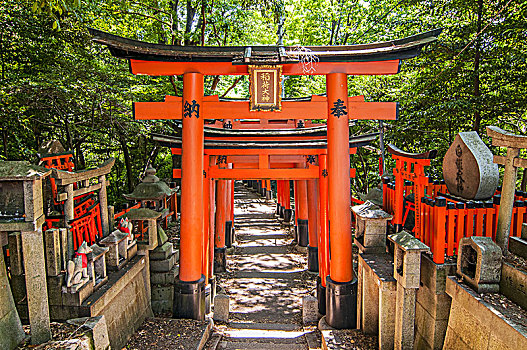 漂亮,独特,红色,木质,大门,花园,伏见,稻成,神祠,京都,日本