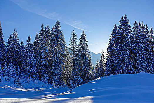 冬季风景,上巴伐利亚,德国