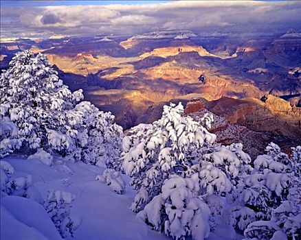 重,雪,南缘,科罗拉多河,仰视,大峡谷国家公园,亚利桑那