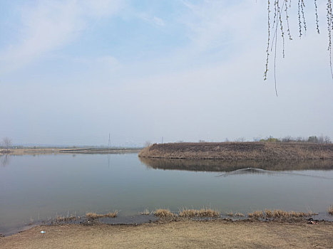 湖泊,渭河湿地,自然风光,湿地公园河流,西安渭河生态区,渭河河堤公园河流与,河畔风光,城市建筑,灞渭湿地,渭河,城市景观,杨凌渭河湿地公园