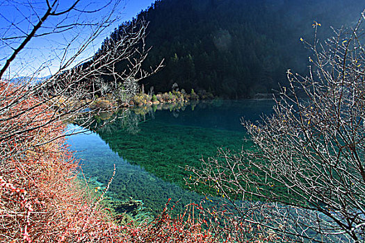 中国四川阿坝九寨沟自然风光