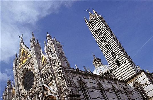 教堂,哥特式,赭色,托斯卡纳,意大利,欧洲,世界遗产