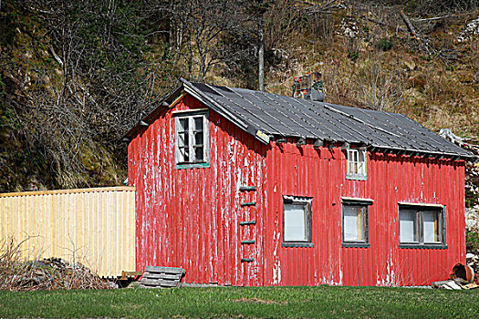 小,红色,木质,乡村,挪威,房子