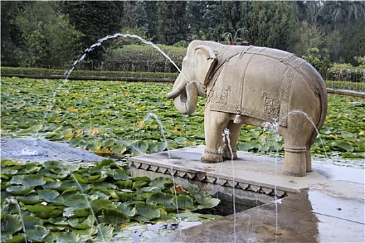 大象,叶子,喷泉