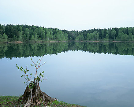 湖,安静