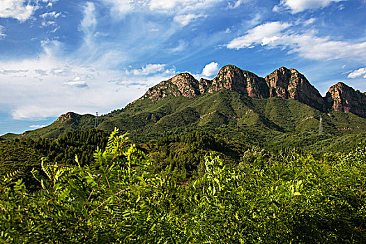 长满绿色植物的青山