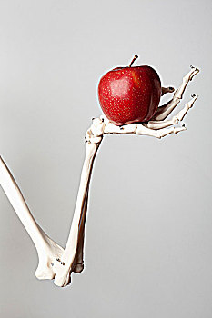 骨骼,手臂,握着,红苹果