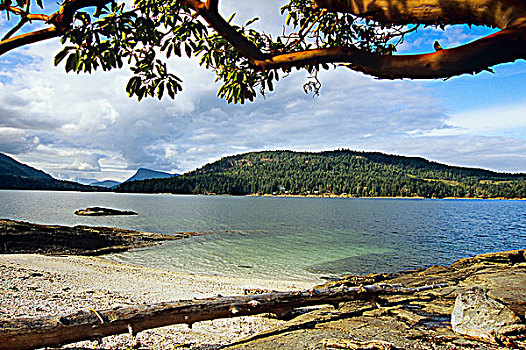 海岸线,岛屿,盐春岛,自然保护区,不列颠哥伦比亚省,加拿大