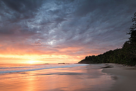 日落,沙滩,海龟,岛屿,印度尼西亚