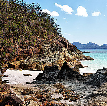 澳大利亚,海滩,圣灵岛,树,石头