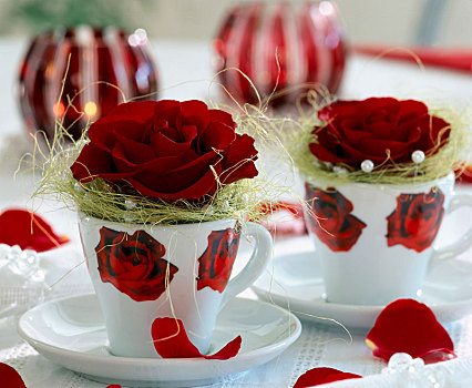 红玫瑰,花瓣,玫瑰,杯子,袖口,珍珠