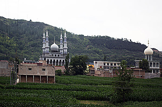 农村,田野,庄稼地,土地,农田,庄稼