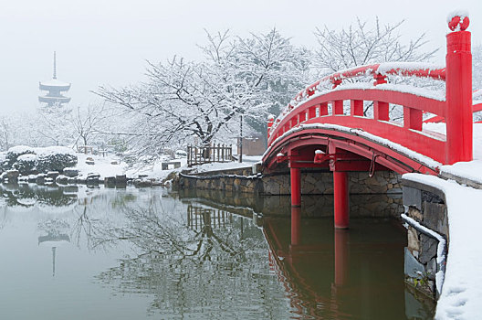 武汉冬日雪景风光