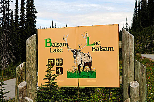 标识,香脂,湖,草地,天空,理沃斯特克国家公园,不列颠哥伦比亚省,加拿大