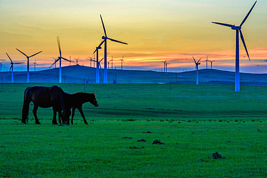 新能源,风力发电,内蒙古,草原