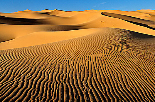 小,沙丘,靠近,阿德拉尔,阿尔及利亚,撒哈拉沙漠,北非