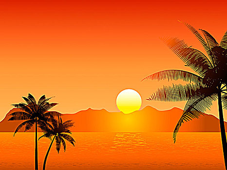 热带,日落,场景,棕榈树