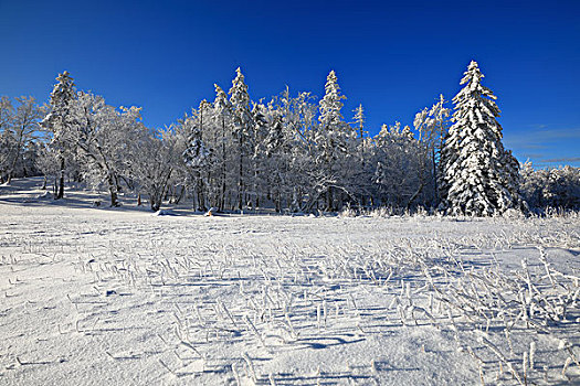 长白山下林海雪原