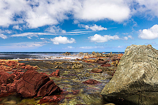 新西兰惠灵顿红岩海湾