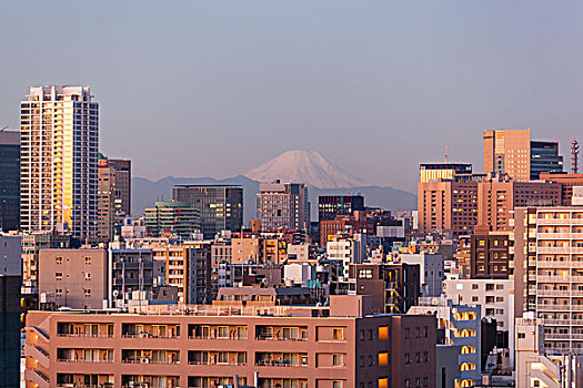 日本,本州,东京,城市天际线,山,富士山
