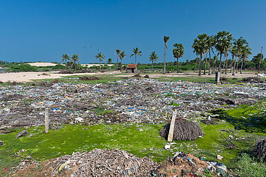 垃圾,靠近,道路,岛屿,泰米尔纳德邦,印度,亚洲