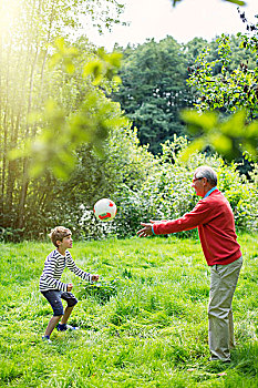 爷爷,孙子,玩,足球,草丛