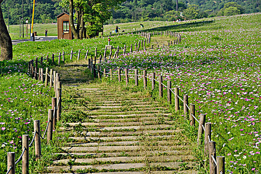 山间步道