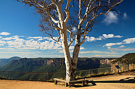 山谷,蓝山国家公园,蓝山,世界遗产,区域,新南威尔士,澳大利亚