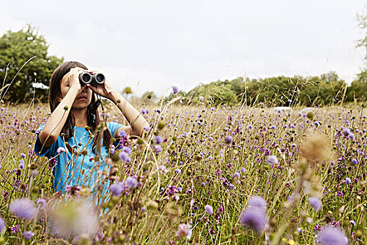 女孩,拿着,双筒望远镜,雏鸟,看,站立,草地,高草,野花