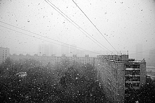 重,下雪,城市,市景,雾气,坏,天气