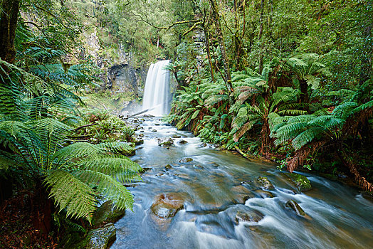 瀑布,雨林,奥特韦国家公园,维多利亚,澳大利亚,大洋洲