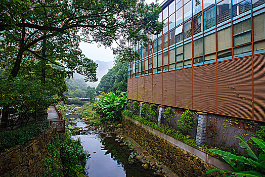 森林温泉度假村,酒店,大楼,外景,树林