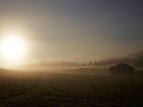 晨雾,高处,区域,靠近,巴伐利亚,德国,欧洲