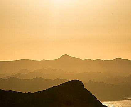 沿岸,剪影,日落,海湾,科西嘉岛,法国,欧洲