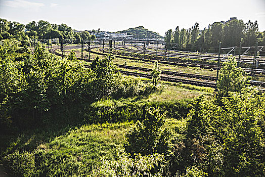 铁轨,围绕,绿色植物,晴天,柏林,德国