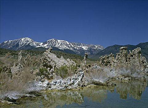 怪诞,岩石构造,植物,遮盖,盐,莫诺湖,藤蔓,加利福尼亚,美国