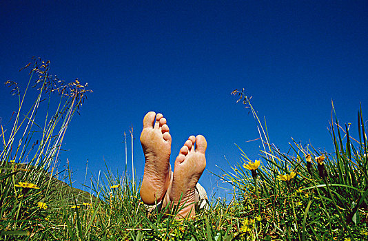 脚,人,放松,草地