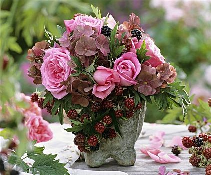 玫瑰,八仙花属,黑莓,石头,花瓶