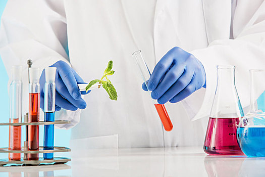 植物,科学,实验室