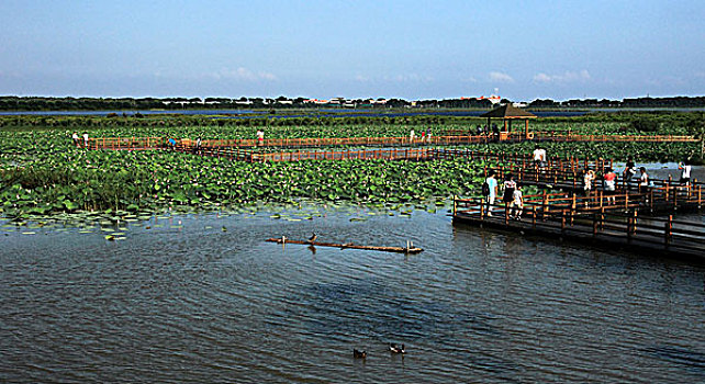 南沙湿地公园