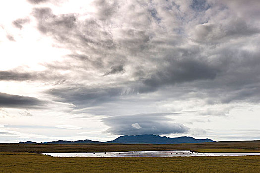 冰岛,平和,风景