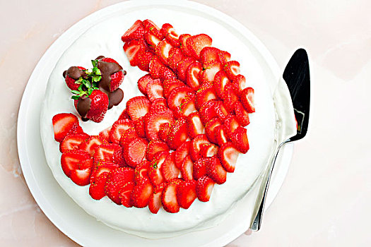 清淡,酸乳酪蛋糕,草莓