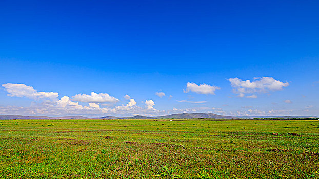 内蒙古呼伦贝尔沿途美景